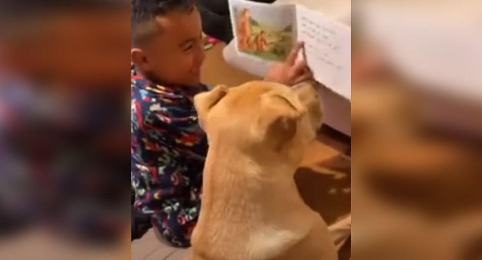 Niño le enseña a leer a su perro
